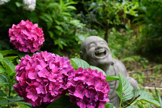 浄慶寺